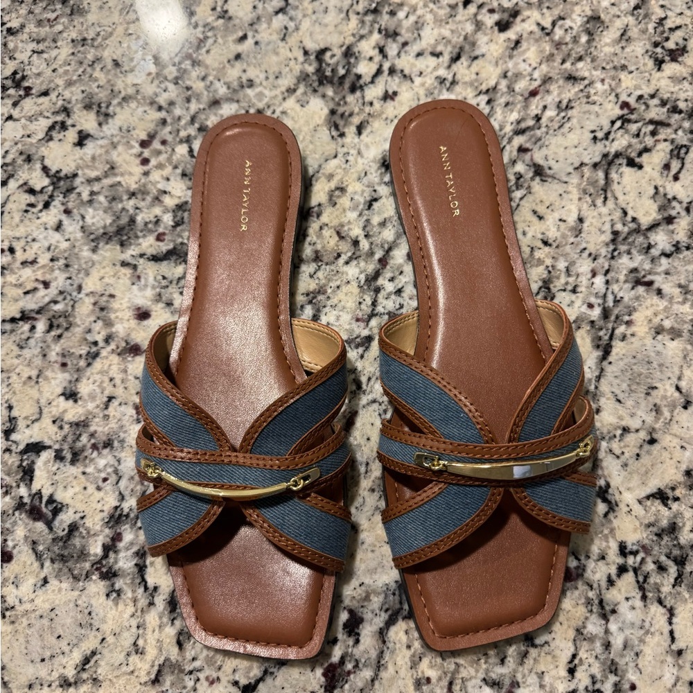Ann Taylor Brown and Blue Sandals
